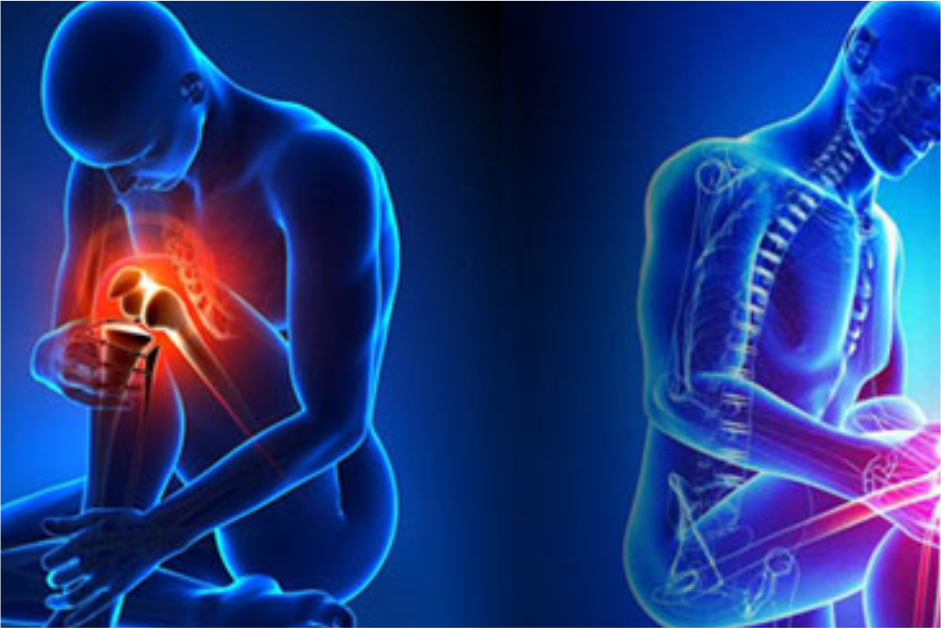 Orthopedics/Sports Medicine